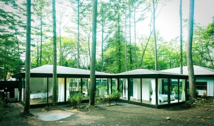 住在森林里的玻璃屋！轻井泽高档旅店「森の离れ」